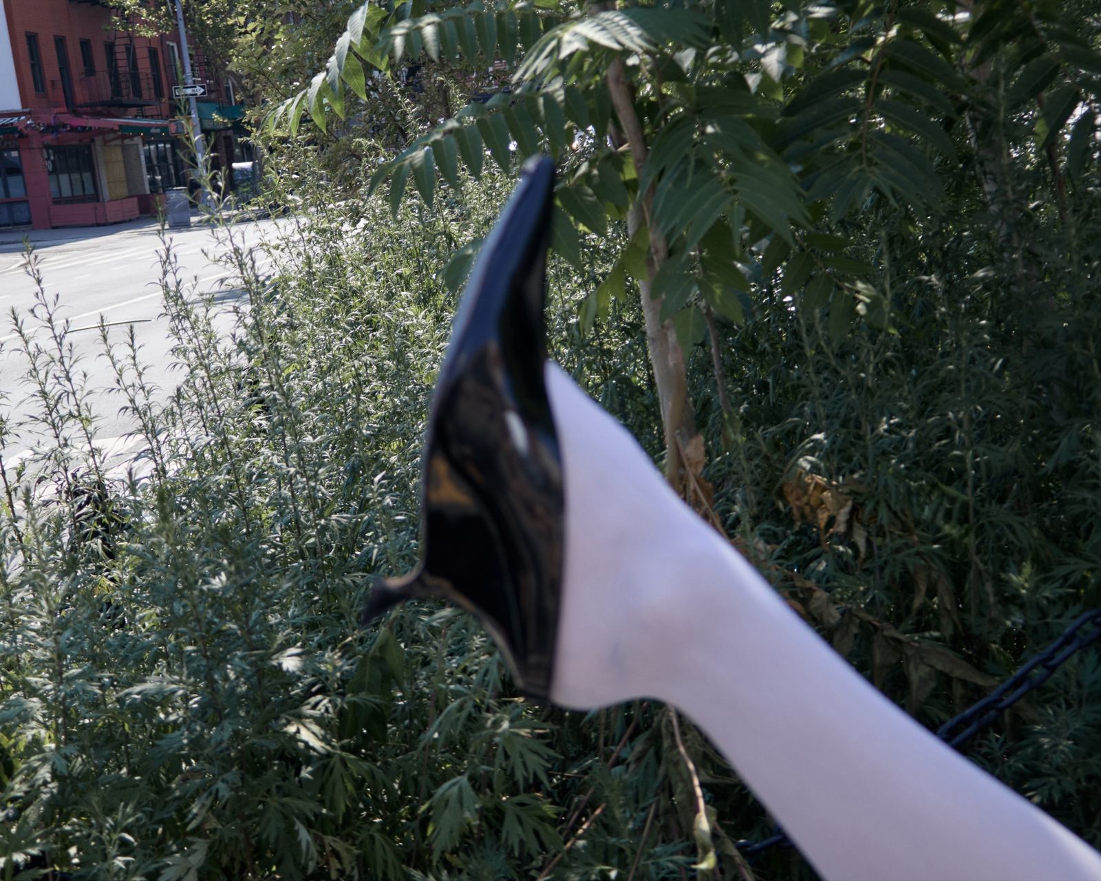 TIASONG LOOKBOOK, frame 3